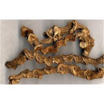 陜西榆林商洛野三七七葉一枝花哪有種子種苗出售現場產品講解新聞