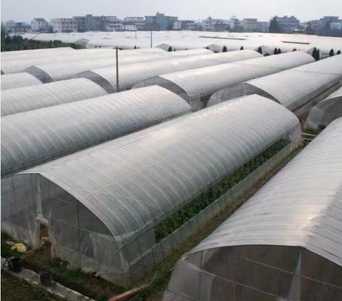 長(zhǎng)垣養(yǎng)殖大棚廠來(lái)圖定制